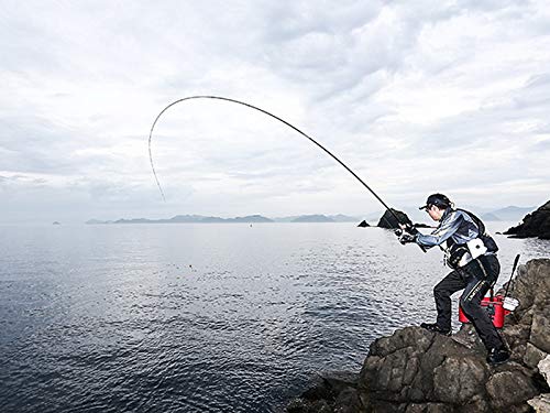 Shimano Iso Rod 20 Liarm No. 1 500