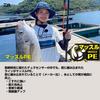 Daiwa PE Line UVF Offshore Fishing Pond DuraSensor X 8 + Si2 2-60