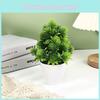 Simulated Pinus Tree With Twenty Fivepine Cones Artificial Green Bonsai Plant