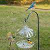 Bird Feeder with Metal Hanging Hook Waterproof Windproof Plastic Bird Waterer For Backyard Patios Balcony and Garden