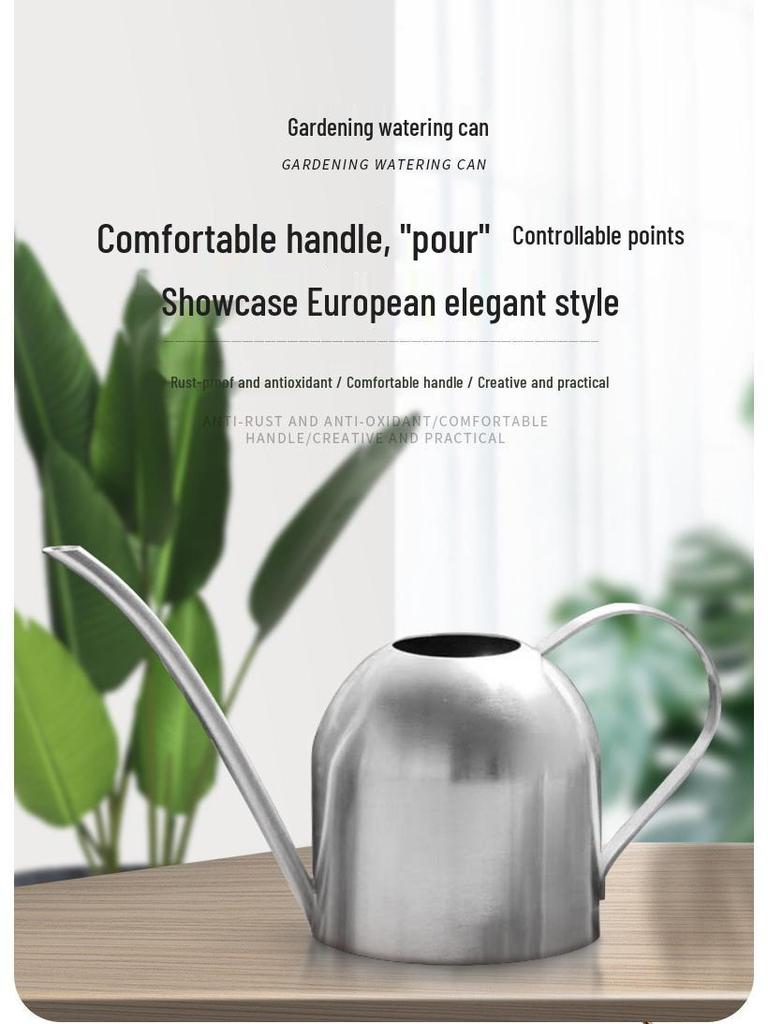1-Liter Stainless Steel Watering Can with Long Spout for Indoor Plant and Flower Care