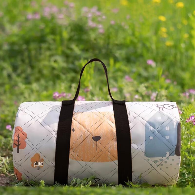 

Portable Waterproof Outdoor Picnic & Camping Mat