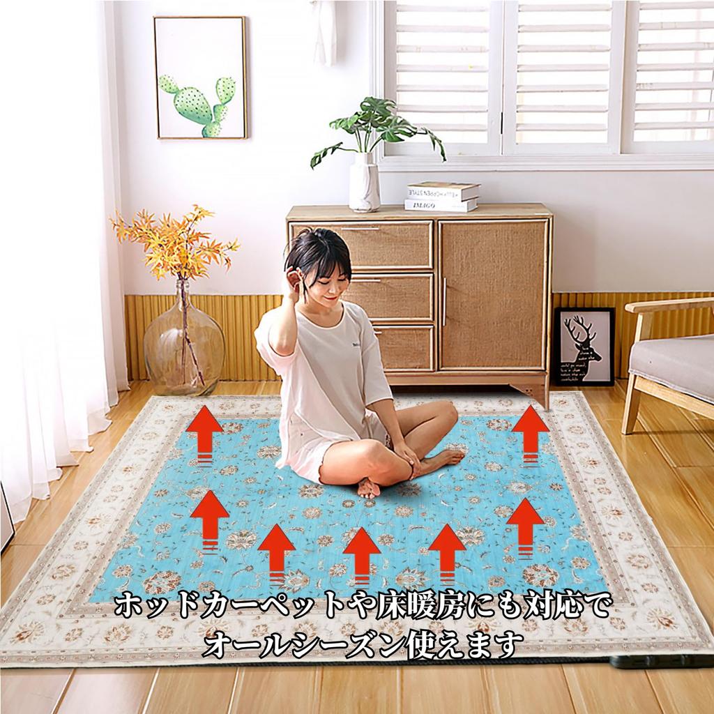 Fluffy Tatami Hot Carpet Dust Living Room Mat Washable, Non-Slip, Rug, Approx. 1.5 Mats, All-Season, Compatible, Persian-Style Rug, Lightweight,