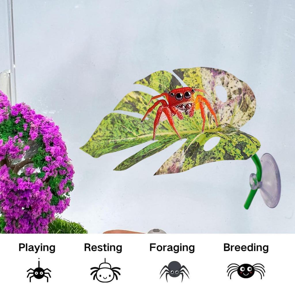 Jumping Spider Plants Simulated Pets Supplies With Suction Cup Spider Jumping House Decor For Greenhouse Terrarium Snake Carpet