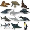 Children's Educational Learning Cards: 12 Types of Hand-Painted Dinosaur and Marine Animal Models