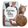 Dry Food With Chicken Meat Vitamins For Cat 10Kg