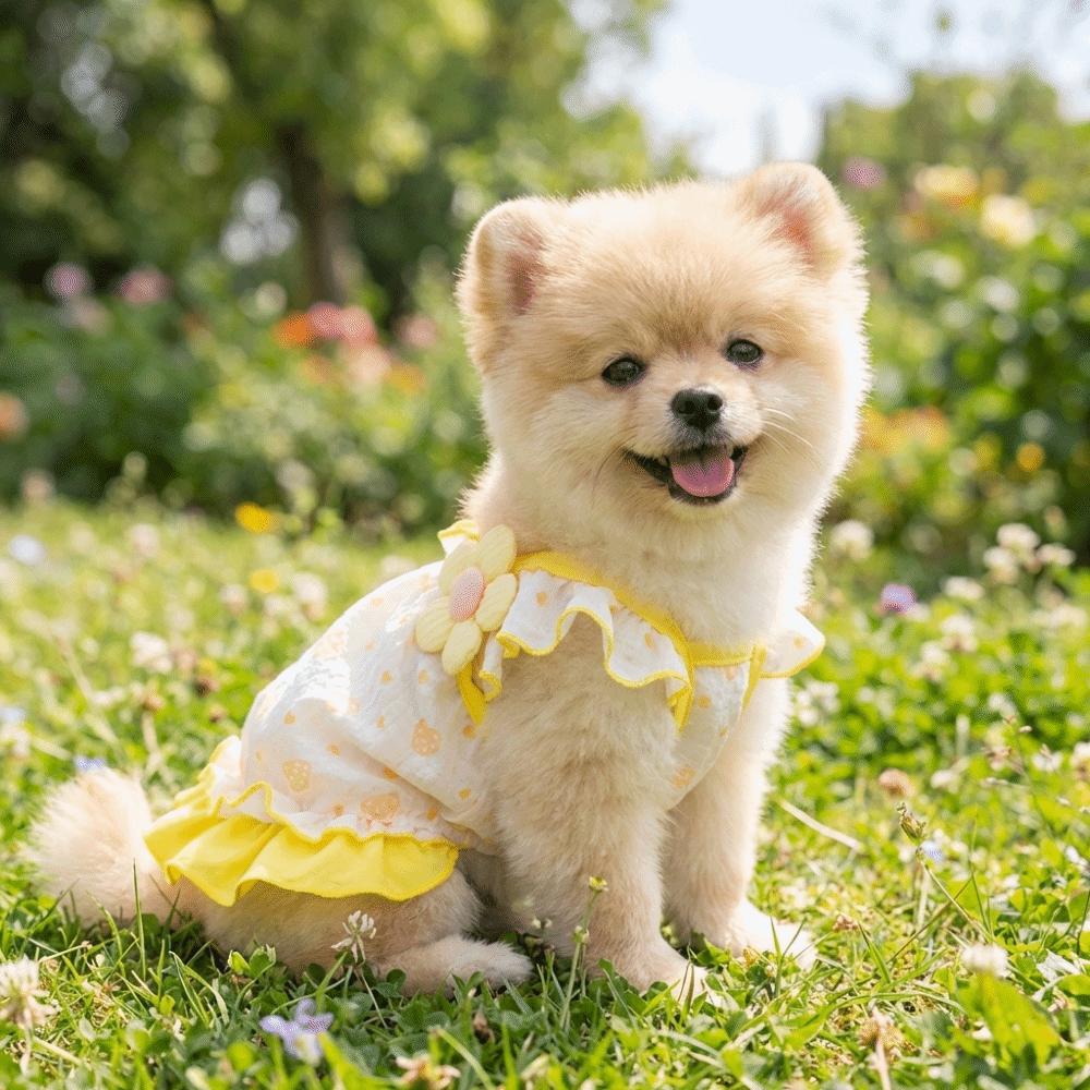 Comfortable Dog Princess Dress 3D Floral Dog Vest Cute Puppy Summer Dress  Outdoor Activities