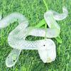 Transparent Fake Snake Prank Toy Soft Rubber Snake-Shaped Ornament  April Fools Day
