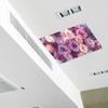 Romantic Rose Sea Bedroom Living Room Ceiling Home Decoration Wall Stickers