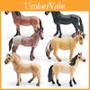 Realistic Pvc Wild Horses Collectors Model For Kids Learning Play