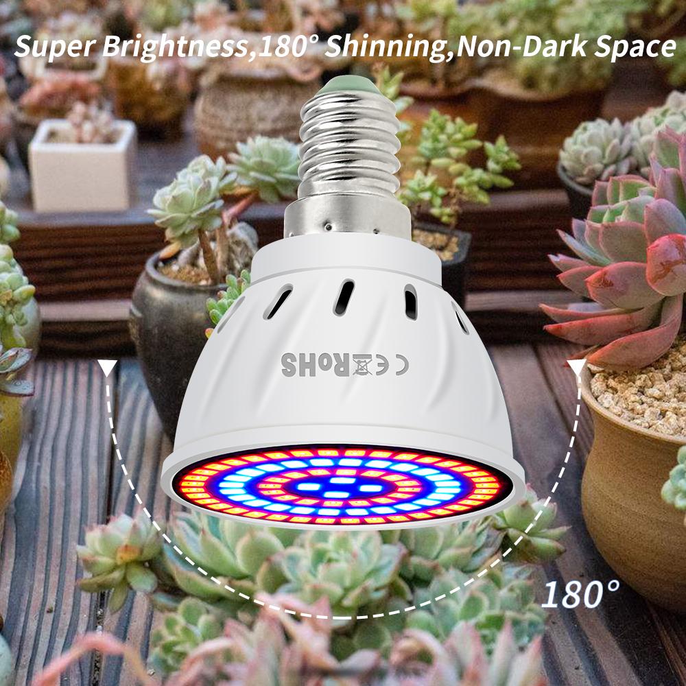 Phyto Led B22 Hydroponic Growth Light E27 Led Grow Bulb MR16 Full Spectrum 220V UV Lamp Plant E14 Flower Seedling Fitolamp GU10 KTY