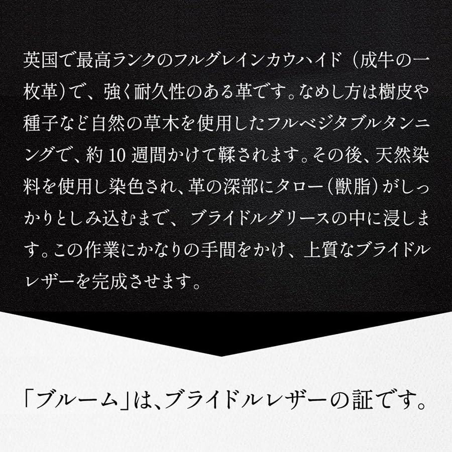 Whitehouse Cox S9169 Newton Care Brush