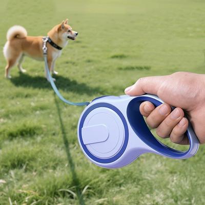 Hunde – Hundehalsbänder & Leinen