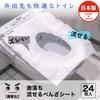 LEC Super Dry Flushable Benza Sheets For Going Out and for Made in Japan (24 Sheets) Guests, Disposable,