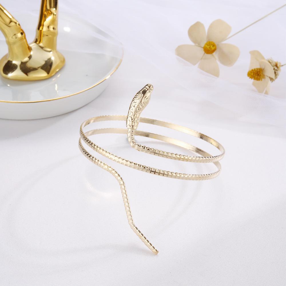 Punk Style Exaggerated Snake Bracelet, Personalized Popular Alloy Snake Element Bracelet