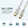 Sanwa Supply USB Cable 2.0 (Light Gray, 3m) KU20-3HK2