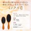 KAI Hair Brush Mini Mixed Cushion Brush Natural Hair Wood Hair Care KQ3160