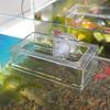 1Pcs Acrylic Fish Tank Fixed Food Dispenser Wide Feeding Area Dispensing Tool Aquarium Fish Food Feeder With Suction Cup