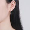 Sterling Silver Stud Earrings Personality Colorful Crystals Diamond Snake-Shaped Ear Drops Earrings Female Fashion Trend Ear Rings