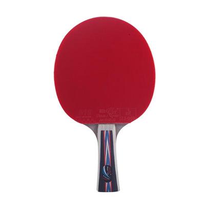 Masa Tenisi – Ping Pong Raketleri