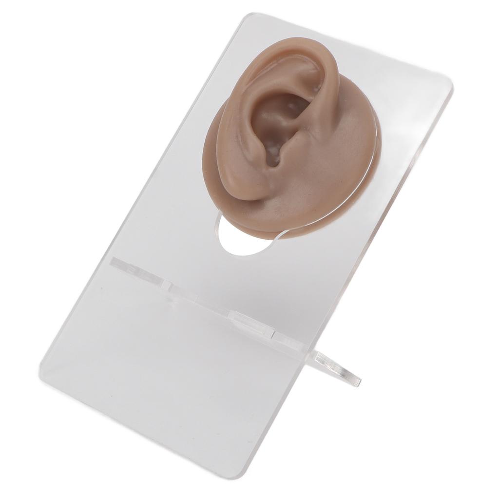 3 Pair Soft Silicone Ear Model Acrylic Bracket Human Ear Model for Piercing Practice Earring Display