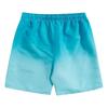 Men's Swimming Trunks Quick-drying With Mesh Beach Shorts With Pockets