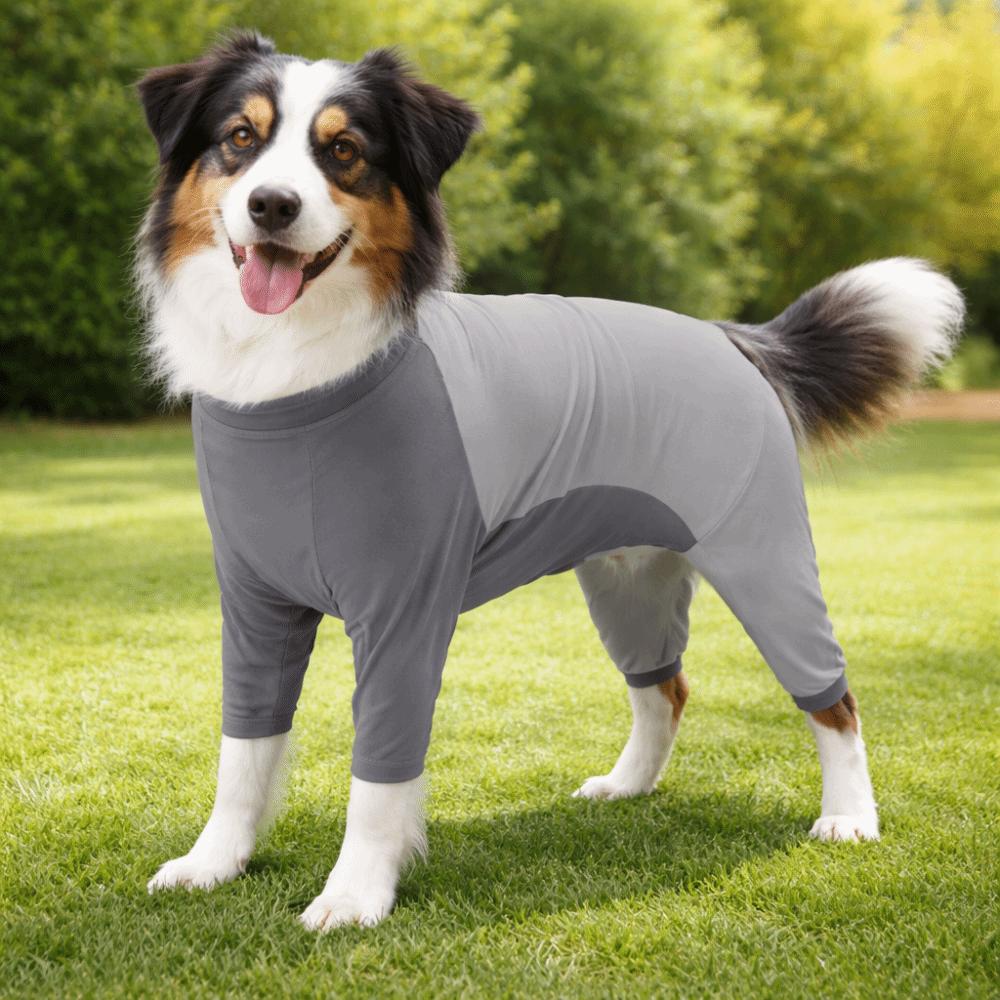 Soft Dog Jumpsuit Long Sleeves Dog Sterilization Suit Dog Four-Legged Pajamas  Spay Recovery
