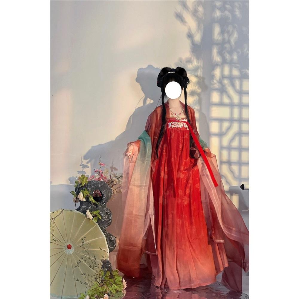 Rochie HE ZI în stil chinezesc din dinastia Tang Costum pentru femei Hanfu Costum zilnic brodat