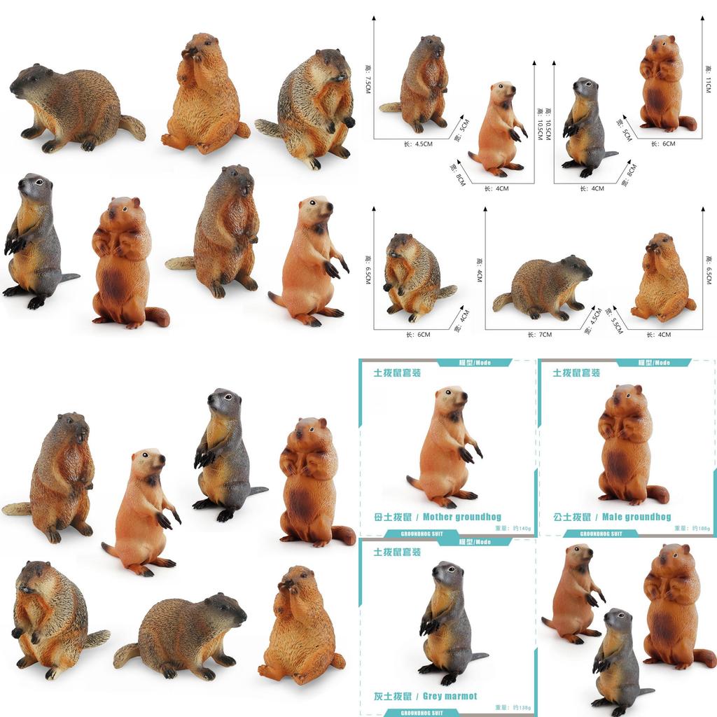 Entzückendes PVC-Murmeltier-Figuren-Set, perfekt für die lehrreiche Spielzeit von Kindern