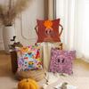 Singer K-Karol G Funny Pillow Case Suitable For Bedrooms Living Rooms Cars Home Decoration