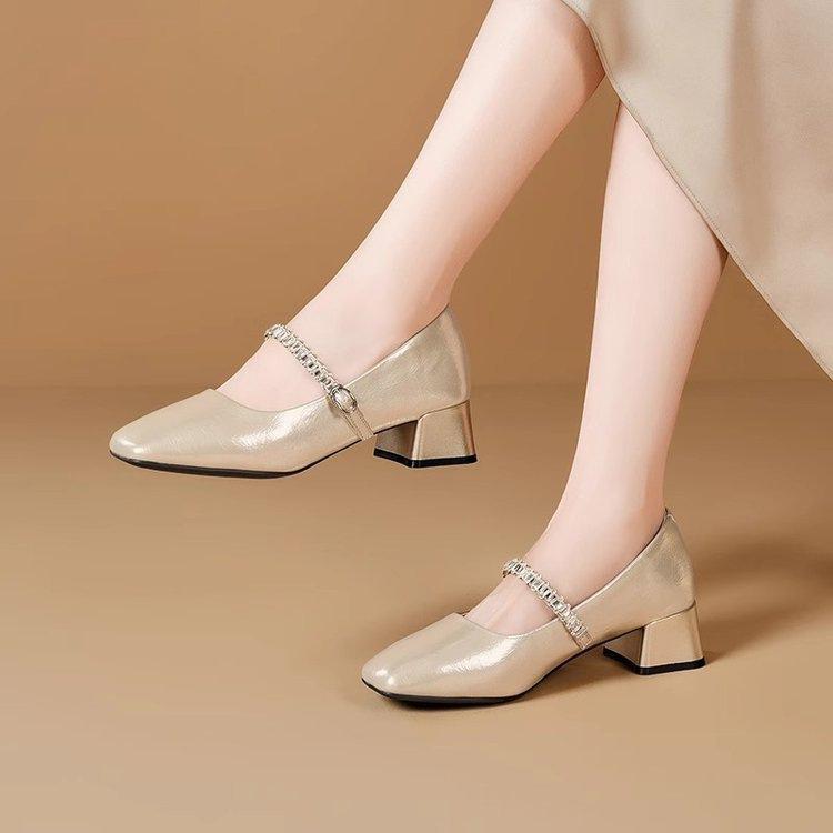 French Square Head Shallow Mouth Single Shoes 2025 Autumn New Models with Skirts Women's Shoes Fashionable Fairy Style Thick Heel Mary Jane Shoes