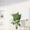 PVC Wall Decals Waterproof Wallpaper Wall Decoration Green Plant Potted Wall Sticker  Dormitory