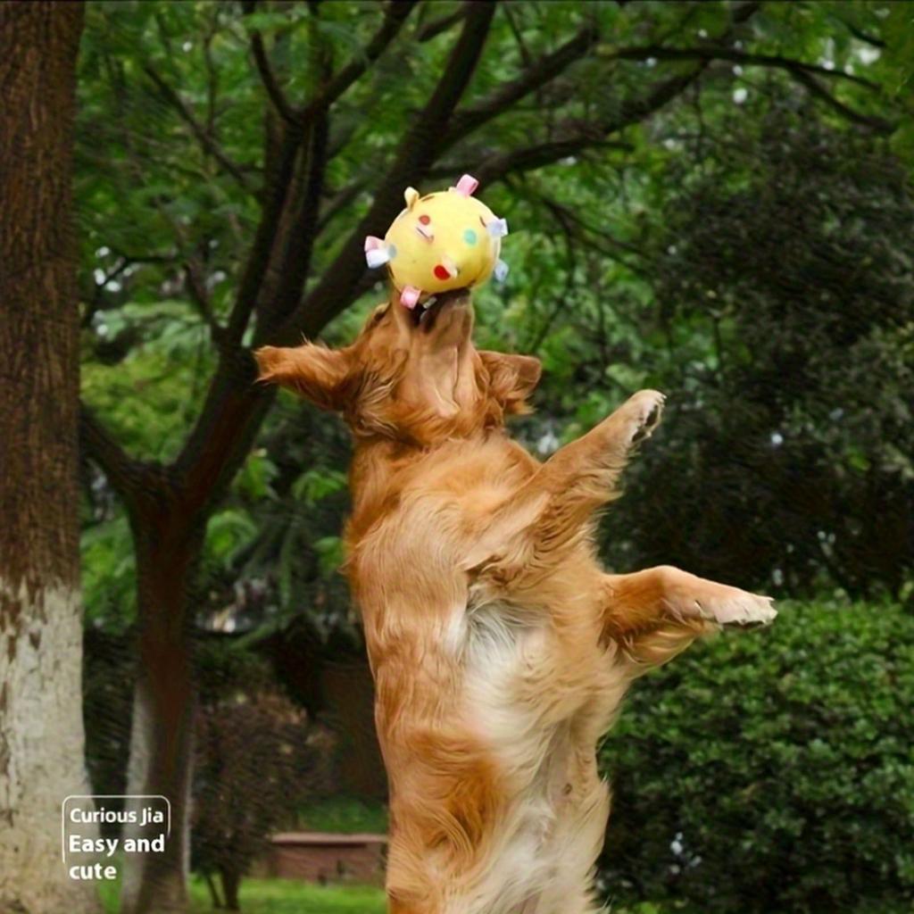 Pet Toys Vocalization Interaction Resistant To Biting Cats And Dogs Toys