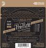 ProArte Classical Guitar D'Addario Strings, Silver/Clear Hard, EJ46, 10-Pack