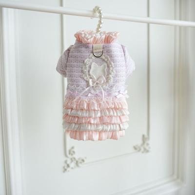 Pet Sweater Jacket Multi-layer Skirt Warm and Cold Proof Winter Clothing Can Be Pulled with Two Legs Clothes Puppy Clothes