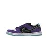 Hayley Wilson X Nike Dunk Low SB Court Purple Unisex Sneakers White Black Lagoon-Pulse HJ0513-500
