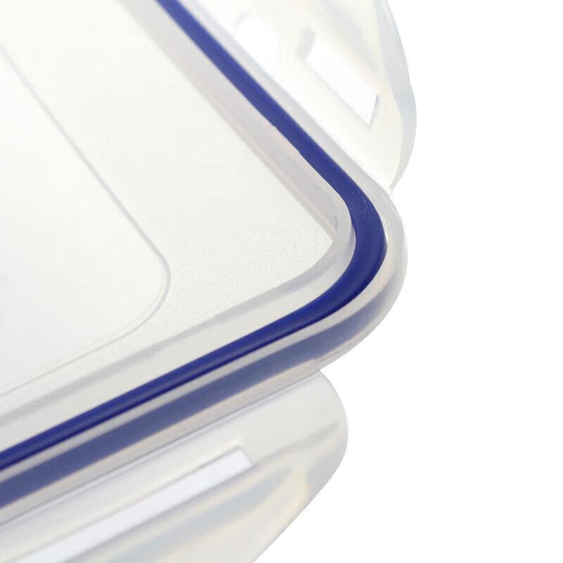 LocknLock Large Plastic Food Storage Container