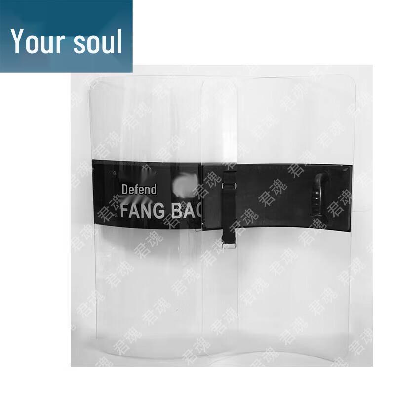 Handheld Riot Shield & Security Kit