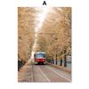 Vintage Autumn Landscape Fall Plant Posters Canvas Painting Warm Tone Print Nature Wall Art Pictures Living Room Interior Decor