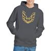 Pontiac Unisex Adult Iconic Firebird Hoodie