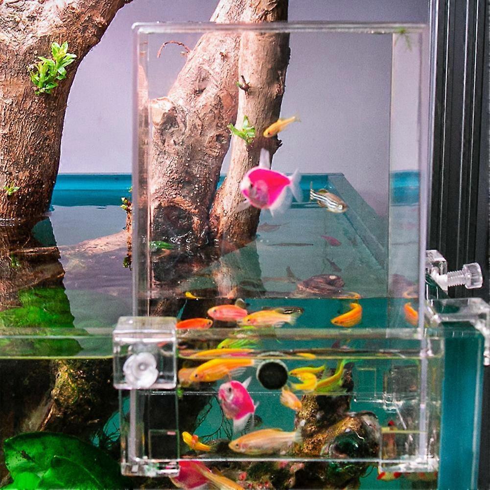 Above Water Fish Tank, Fish Elevator Inverted Aquarium, Transparent Fish