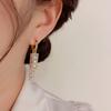 Temperament Geometric Zircon Tassel Earrings Niche Design High-end Exquisite Versatile Earrings Wholesale