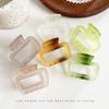 Frosted Jelly Small Shark Hair Clip - High-Grade Half-Up Accessory