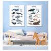 Animal Nursery Canvas Art Print Education Wall Picture Painting Nordic Baby Kids Room Decoration Child Poster Whale Shark Marine