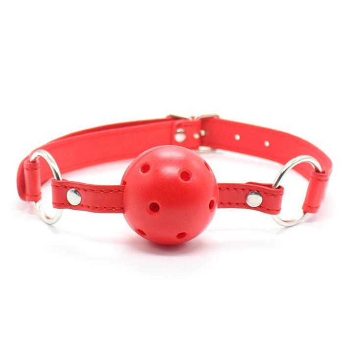 Bondage Ball Gag: Adult Restraint Mouth Plug for Men and Women
