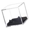 Klarer Sport Baseball Halter Behälter mit Ständer Acryl Würfel Baseball Aufbewahrungsbox Softball Quadratische Klare Vitrine
