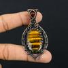 Tiger Eye, Garnet Handmade Copper Wire Wrap Pendant 2.76" I1b67