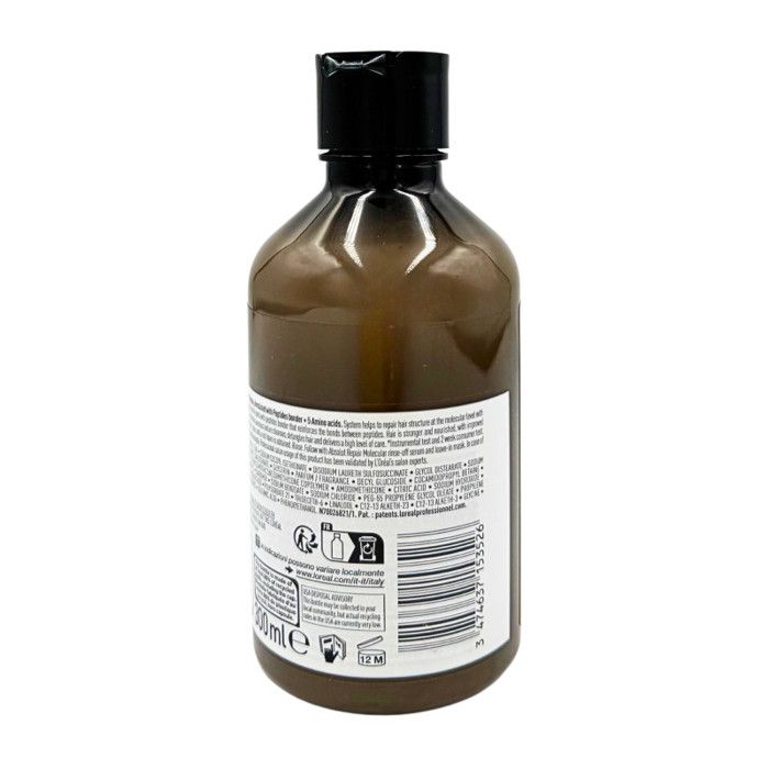 Shampoing Absolut Repair Molecular 300ml