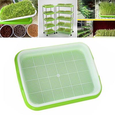 Tray Nursery Pots Grow Basket Hydroponics Microgreens Soybean Sprout Double Layer Garden Germination Vegetables