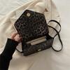 Small bag niche design leopard print 2025 new portable foreign style casual retro foreign style personalized messenger small square bag